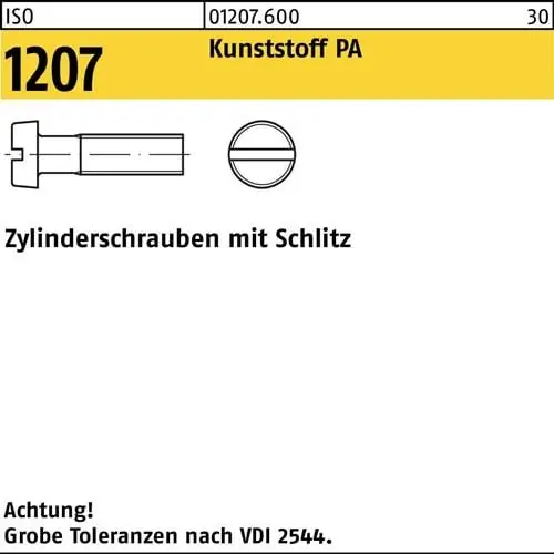 Zylinderschraube ISO 1207 Schlitz M6x 45 Polyamid 200 Stück Günstig