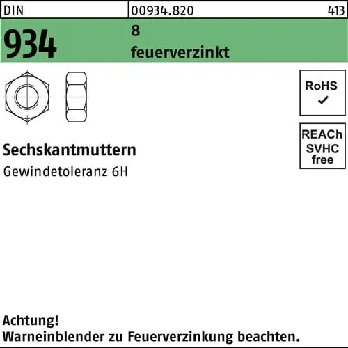 Nur Heute Sechskantmutter DIN 934 M33 8 feuerverz. 10 Stück
