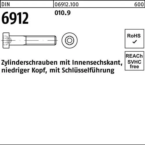 Gratis Versand Zylinderschraube DIN 6912 Innen-6kt M10x 16 010.9 200 Stück
