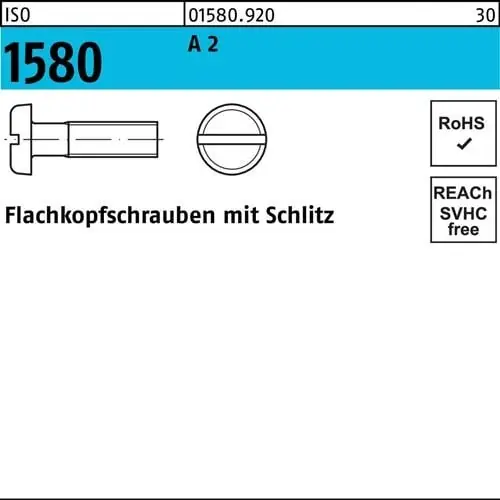 Abverkauf Flachkopfschraube ISO 1580 Schlitz M6x 10 A 2 200 Stück
