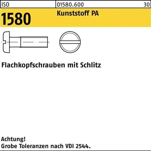 Flachkopfschraube ISO 1580 Schlitz M6x 25 Polyamid 200 Stück Sonderaktion