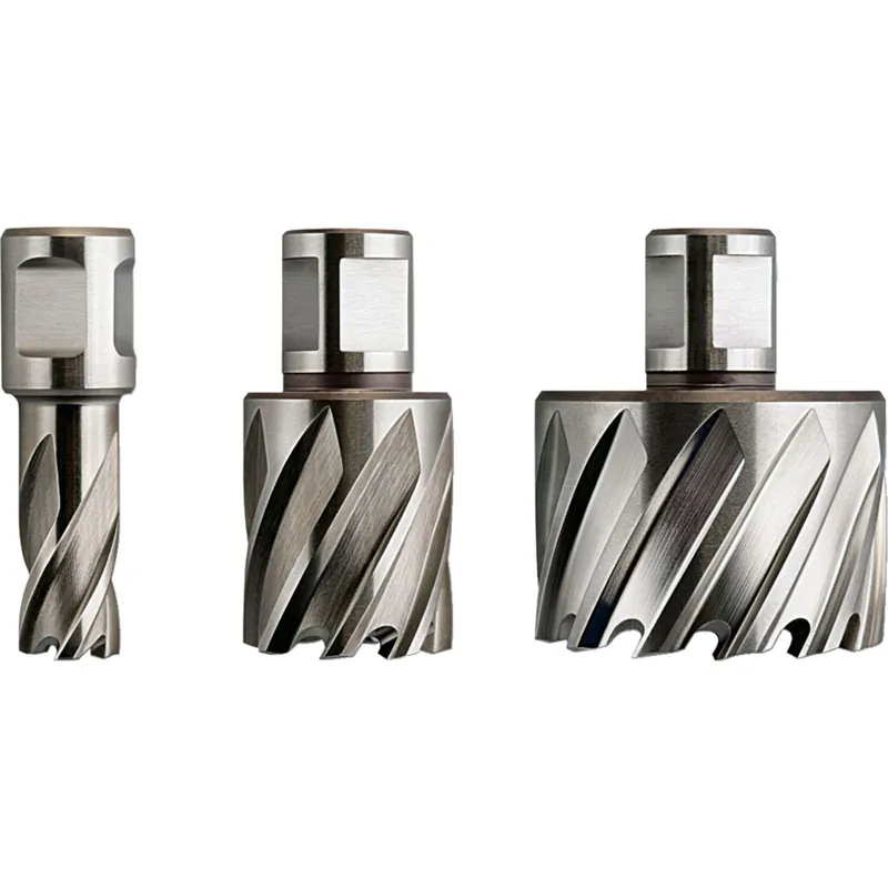 Online Kaufen Fein 1x HSS Nova 25 Kernbohrer mit 3/4" Weldon-Aufnahme 25 mm Ø 38 mm - 63134380051