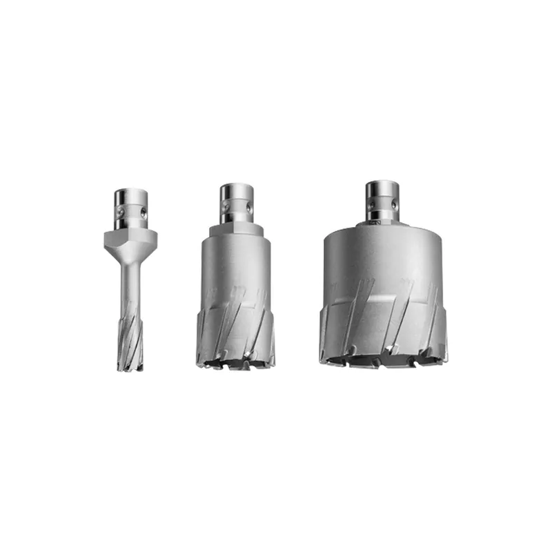 Fein 1x HM Ultra Kernbohrer mit QuickIN-Aufnahme Ø 20 mm - 63127765010 Jetzt Kaufen
