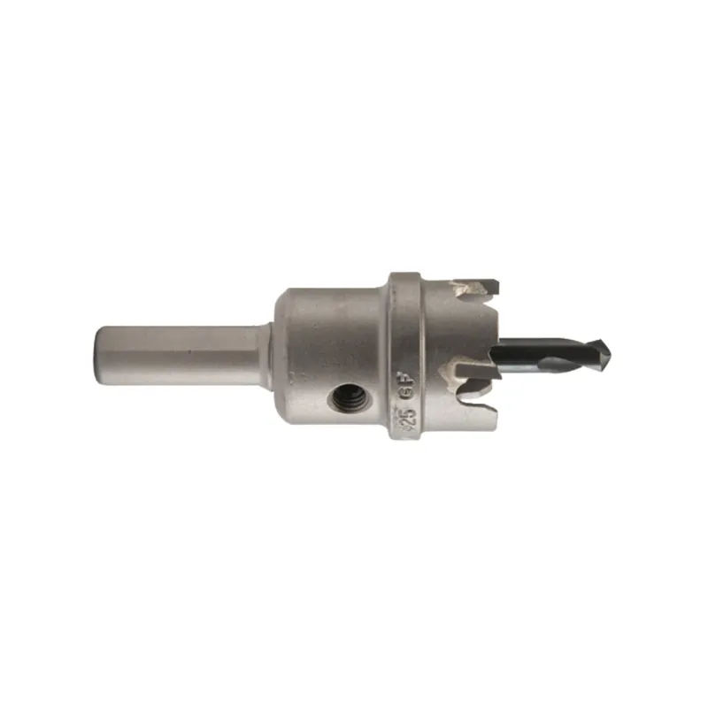 Makita HM-Lochsäge 25 mm - B-00941 Direktkauf